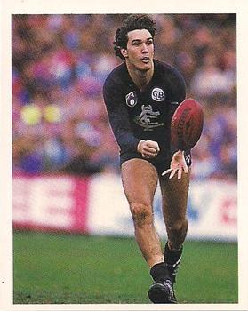 1993 Select AFL Stickers #58 Stephen Silvagni Front